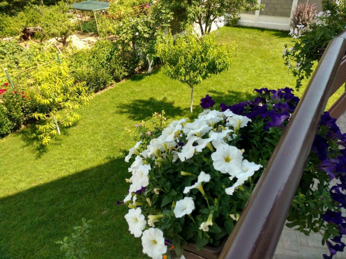 Apartments in Golden Sands park near the sea Varna Buitenkant foto